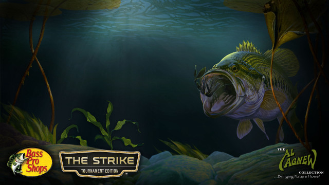 Fish swimming water plants rocks free wallpaper - medium preview image