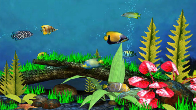 Fish pond diverse fish plants free wallpaper - medium preview image