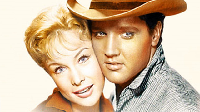 Man woman hats posing picture free wallpaper - medium preview image
