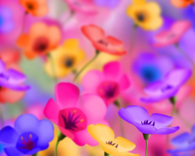 Flowers grass blurry background bokeh free wallpaper - medium preview image