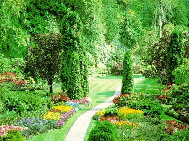 Garden path flowers trees lining free wallpaper - medium preview image