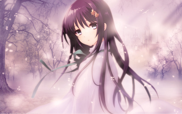 Girl white dress forest trees #2 free wallpaper - medium preview image