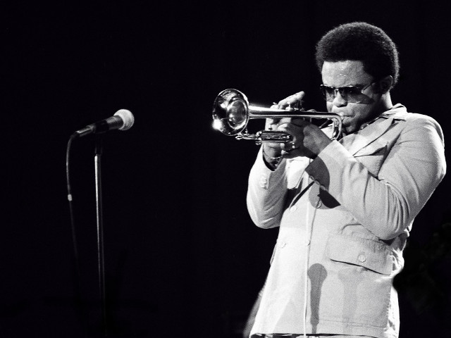 Man playing trumpet microphone stage free wallpaper - medium preview image