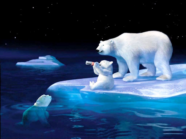 Polar bear cub iceberg water free wallpaper - medium preview image