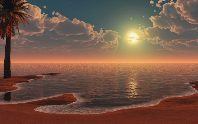 Sunset beach palm trees water free wallpaper - medium preview image