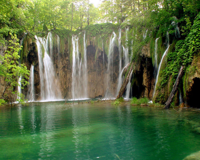 Waterfall pool forest surrounding body free wallpaper - medium preview image