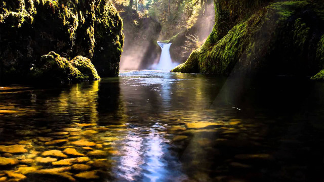 River flowing lush forest rocks free wallpaper - medium preview image