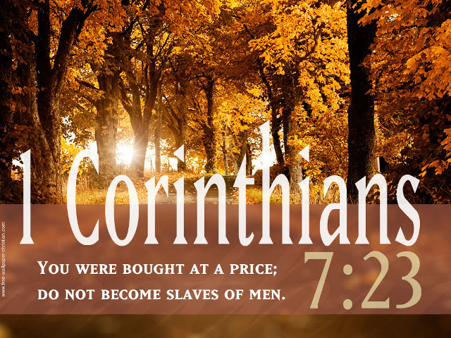 Forest quote 1corinthians bought at free wallpaper - medium preview image