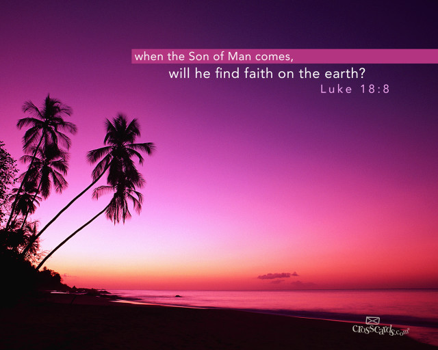 Sunset palm trees bible verse free wallpaper - medium preview image