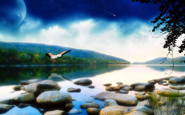 Bird flying lake rocks trees free wallpaper - medium preview image