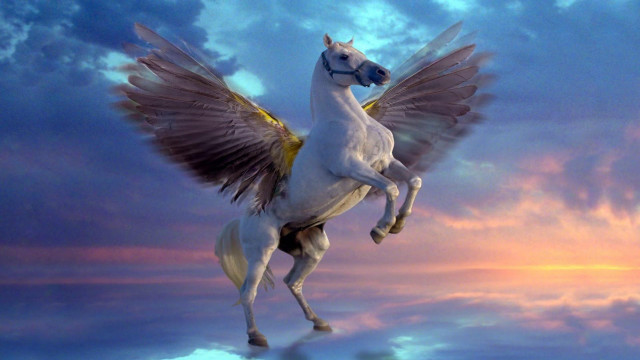 White horse winged flying sunset free wallpaper - medium preview image
