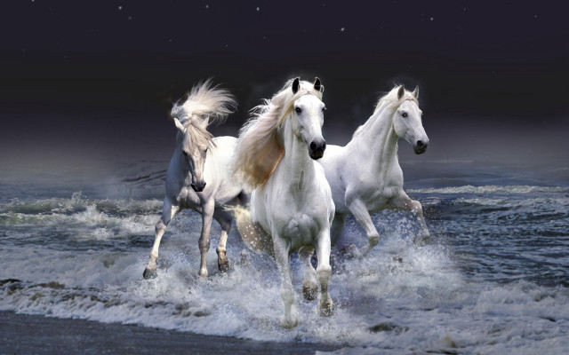 Three white horses running water #4 free wallpaper - medium preview image