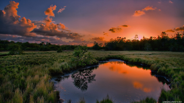 Sunset small pond grassy field free wallpaper - medium preview image