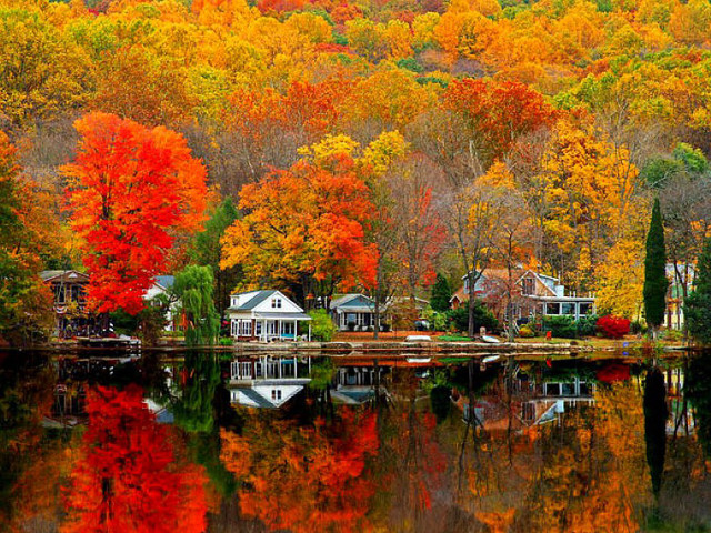 Lake autumn trees reflection houses free wallpaper - medium preview image