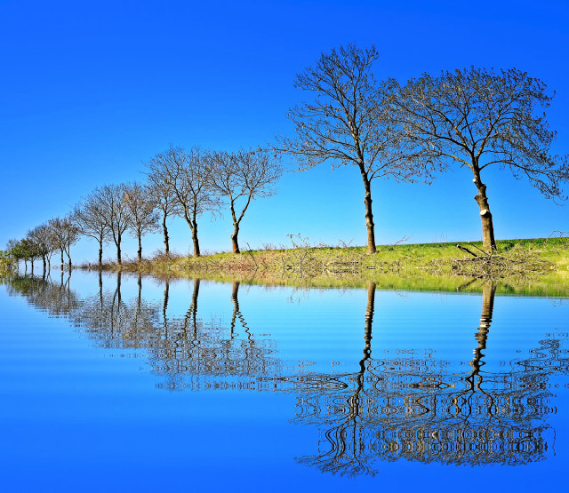 Trees hill water blue sky free wallpaper - medium preview image