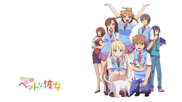Group people dog cat lap free wallpaper - medium preview image