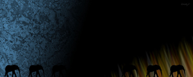 Elephants darkroom bluewall yellowblack lycoart free wallpaper - medium preview image
