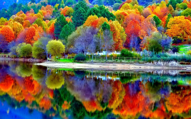 Lake trees colorful leaves hillside free wallpaper - medium preview image