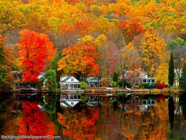 Autumn lake trees houses fiery free wallpaper - medium preview image