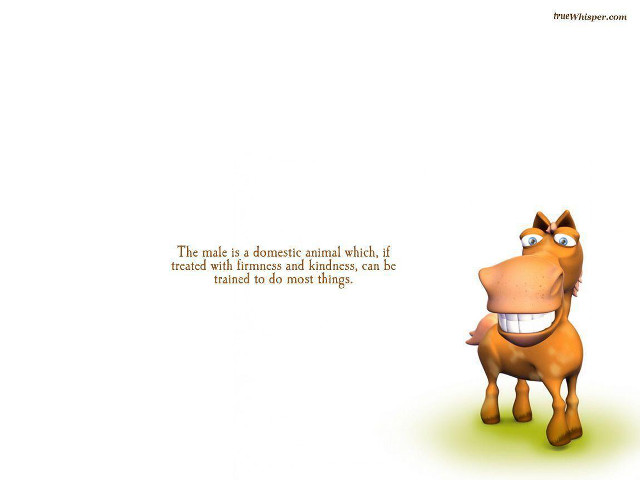 Cartoon horse funny face quote free wallpaper - medium preview image