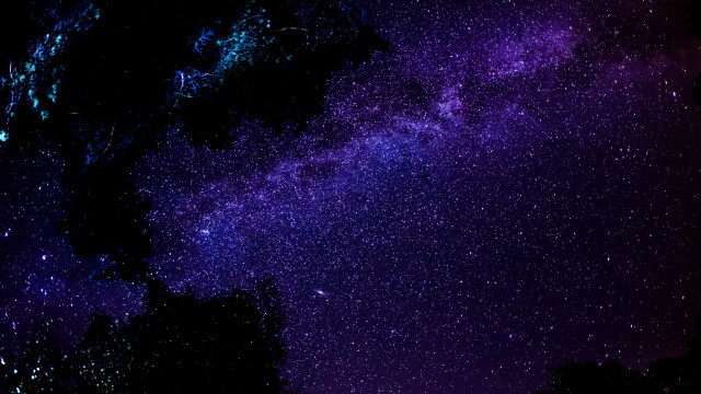 Night sky purple blue trees free wallpaper - medium preview image