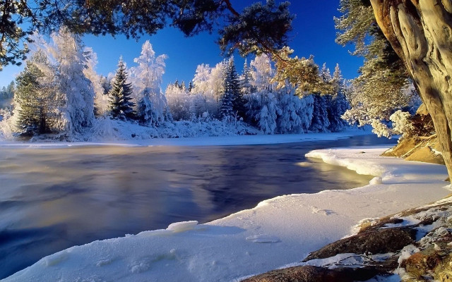 Lake snow trees ice blue free wallpaper - medium preview image