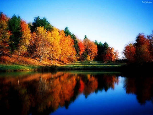 Lake trees fall colors blue #2 free wallpaper - medium preview image