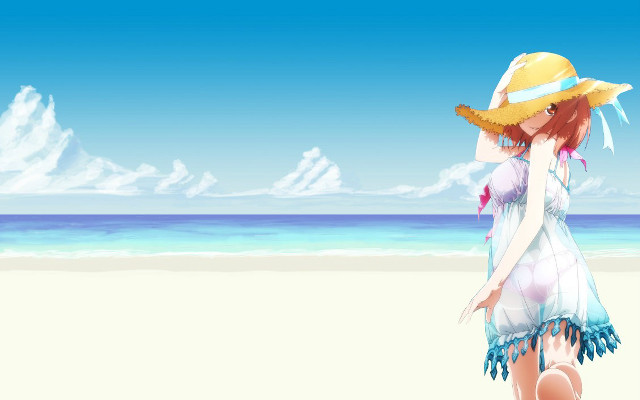 Woman hat beach ocean suitcase free wallpaper - medium preview image