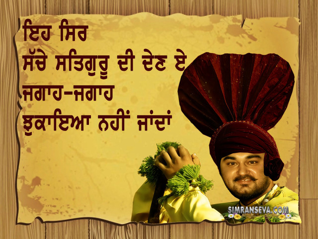 Man turban holding green plant free wallpaper - medium preview image