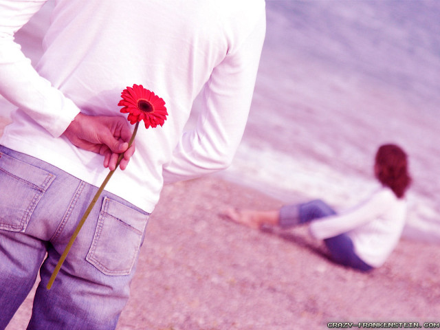 Man holding flower woman beach #2 free wallpaper - medium preview image