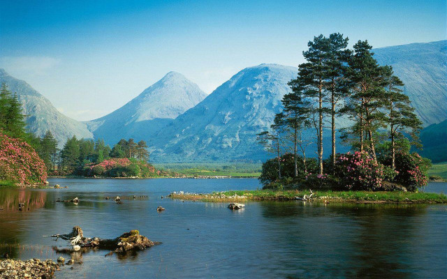Lake mountains trees animals birds #3 free wallpaper - medium preview image