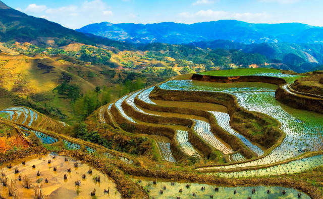 Hillside river mountains rice terraces free wallpaper - medium preview image