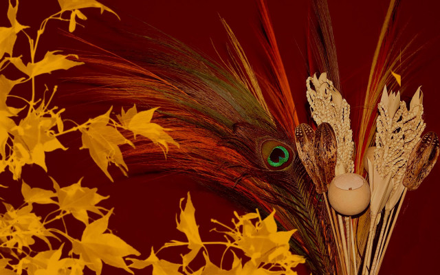 Vase feather green eye yellow free wallpaper - medium preview image