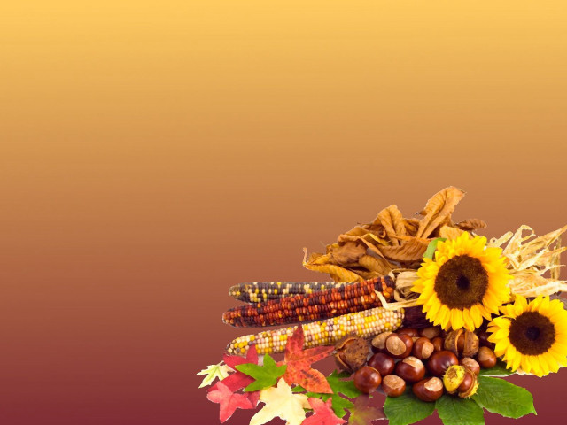 Fall flowers leaves tabletop brown free wallpaper - medium preview image