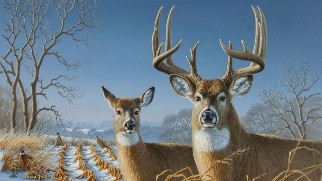 Two deer snow covered grass free wallpaper - medium preview image
