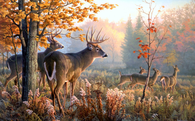Deer forest trees flowers background free wallpaper - medium preview image