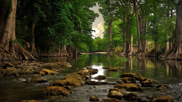 River rocks trees water cloudy free wallpaper - medium preview image
