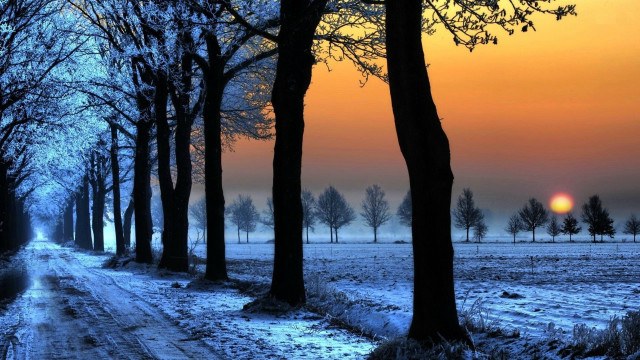 Snowy road trees sunset distance free wallpaper - medium preview image