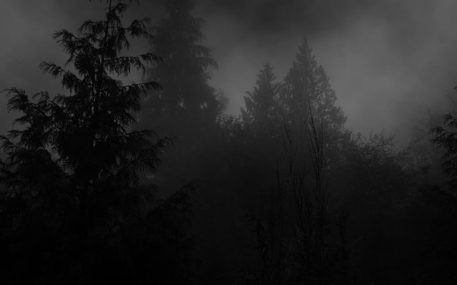 Black white trees fog background free wallpaper - medium preview image