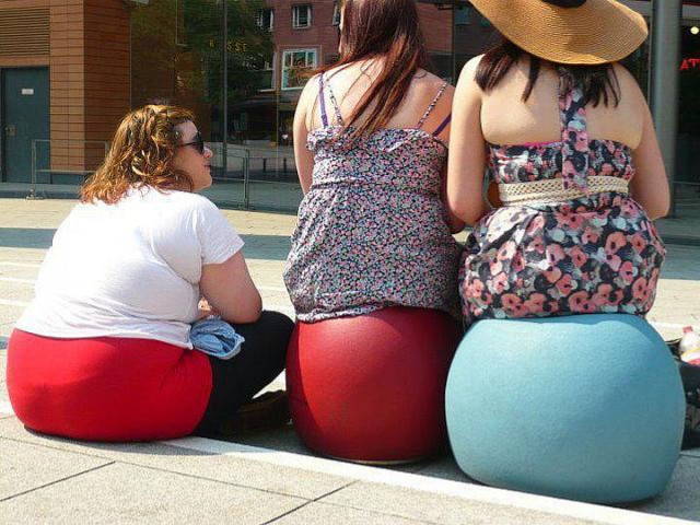 Three women large ball dog free wallpaper - medium preview image