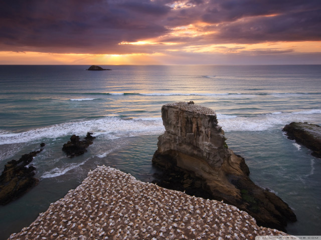 Bird rock ocean sunset cityscape free wallpaper - medium preview image