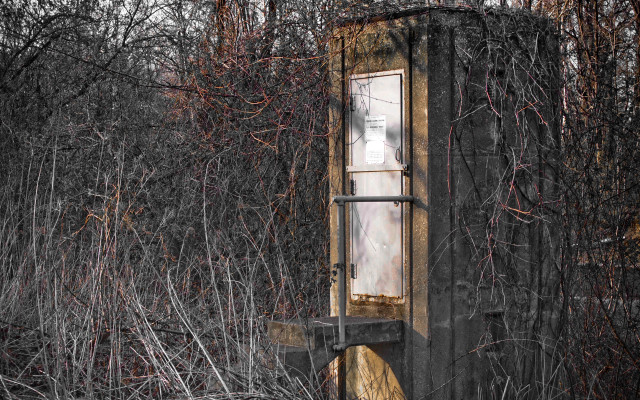 Door field dead grass trees free wallpaper - medium preview image