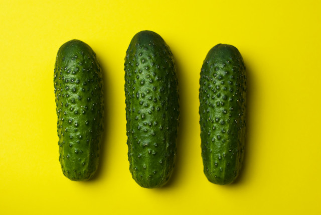 Three cucumbers yellow surface water free wallpaper - medium preview image