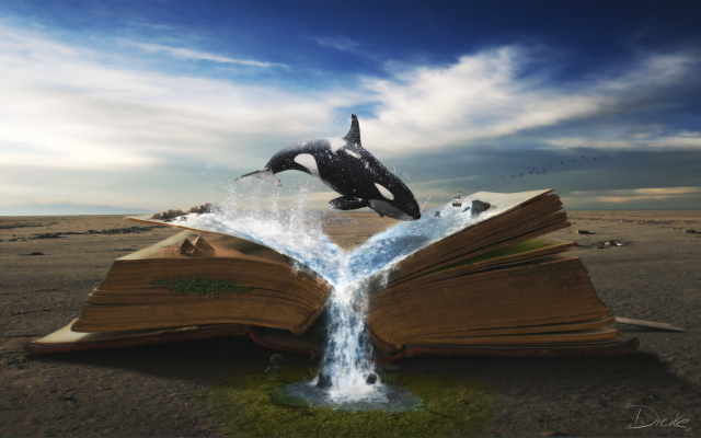 Book whale jumping water waterfall free wallpaper - medium preview image