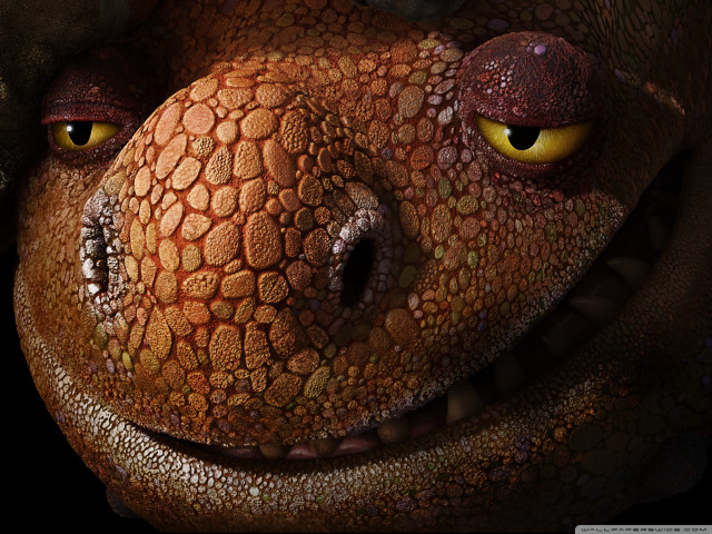 Close up yellow eyes large free wallpaper - medium preview image