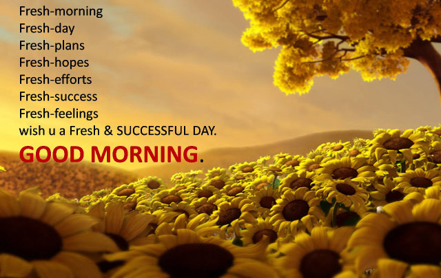 Sunflower field good morning tree free wallpaper - medium preview image