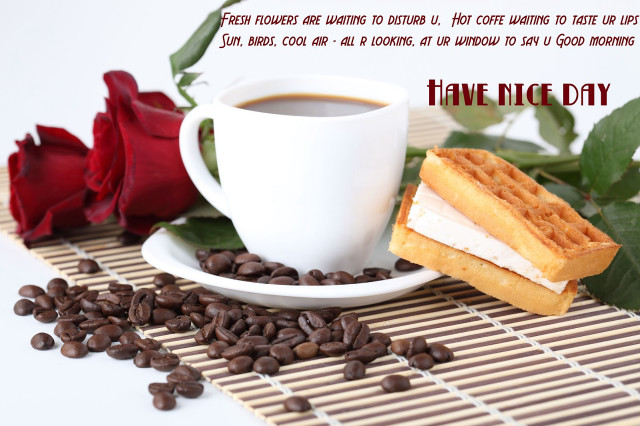Coffee waffle plate beans roses free wallpaper - medium preview image