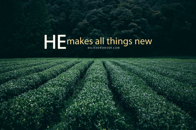 Green grass field quote new free wallpaper - medium preview image