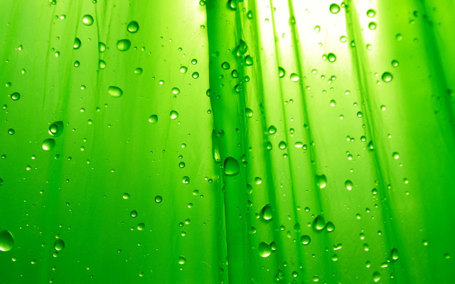 Green water drops curtain bubble free wallpaper - medium preview image