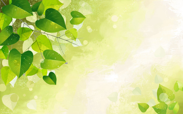 Green leafy background white light free wallpaper - medium preview image